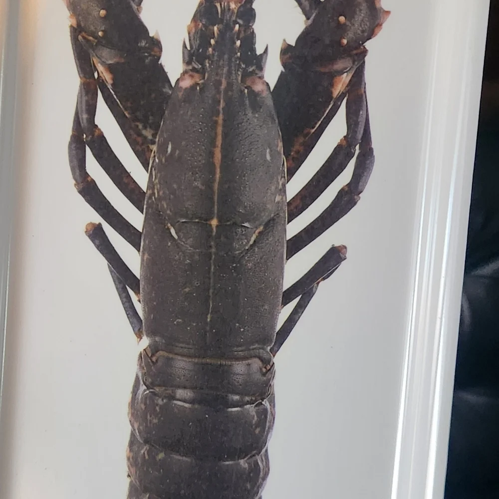 Ikea Crayfish / Lobster Serving Tray